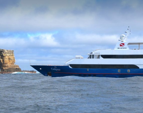 Calipso liveaboard