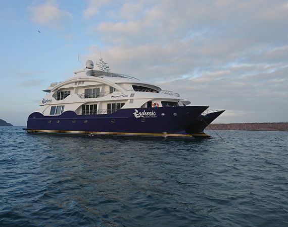 Endemic Galapagos cruise ship