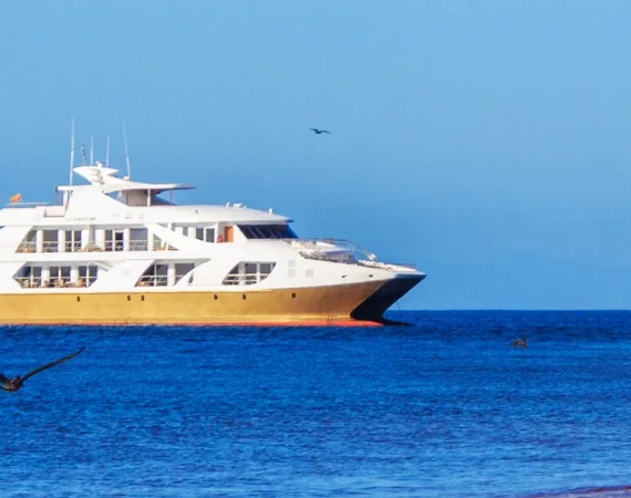 Galapagos Elite Cruise Ship