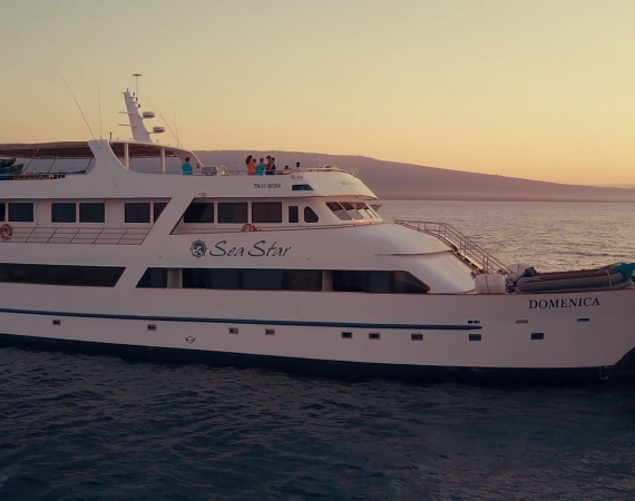 Seastar Journey