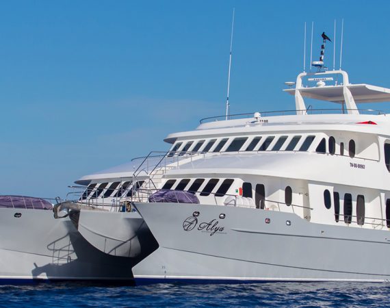 alya galapagos boat
