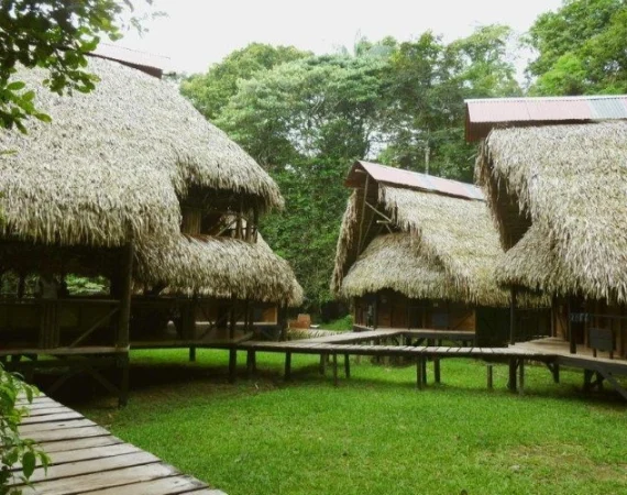 Jamu Lodge Amazon Tours