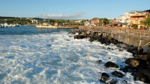 Best Time to visit Galapagos