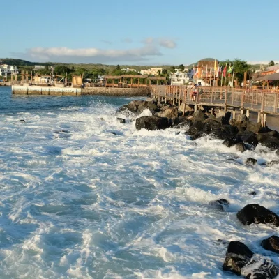 When is the Best Time to Visit the Galapagos Islands?
