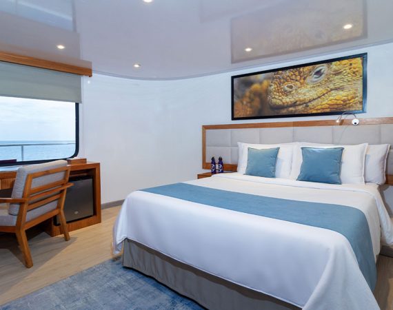 Reina Silvia Voyager Galapagos Cruise upper cabin