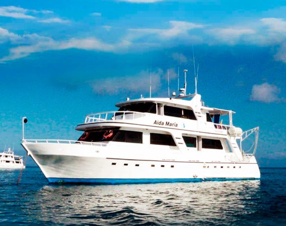 Aida maria galapagos islands